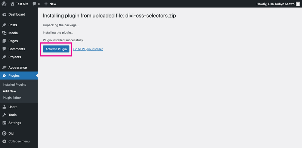 Divi Module Custom CSS Selectors - Documentation - Installation - Activate Plugin