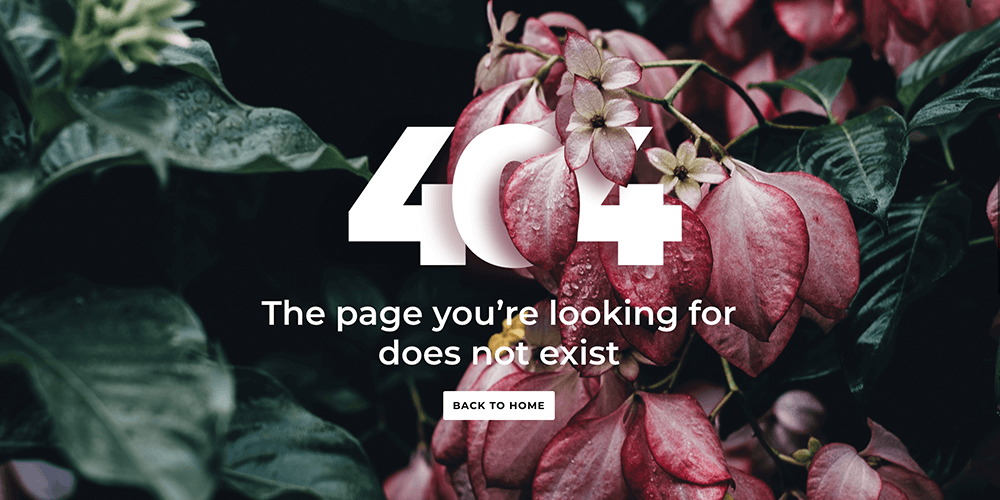 404 Page for Divi 