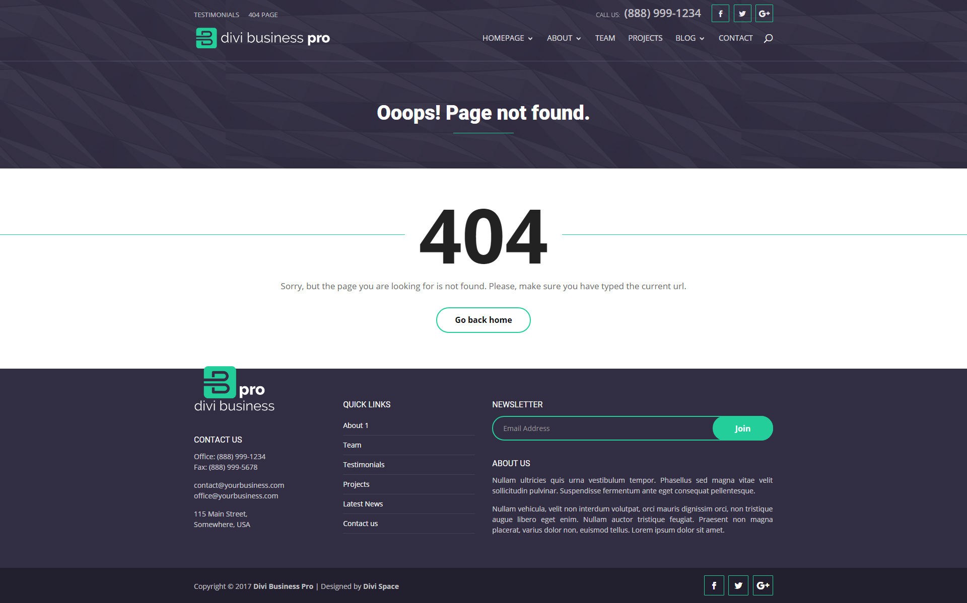 Divi-Space-Divi-Business-Pro-404