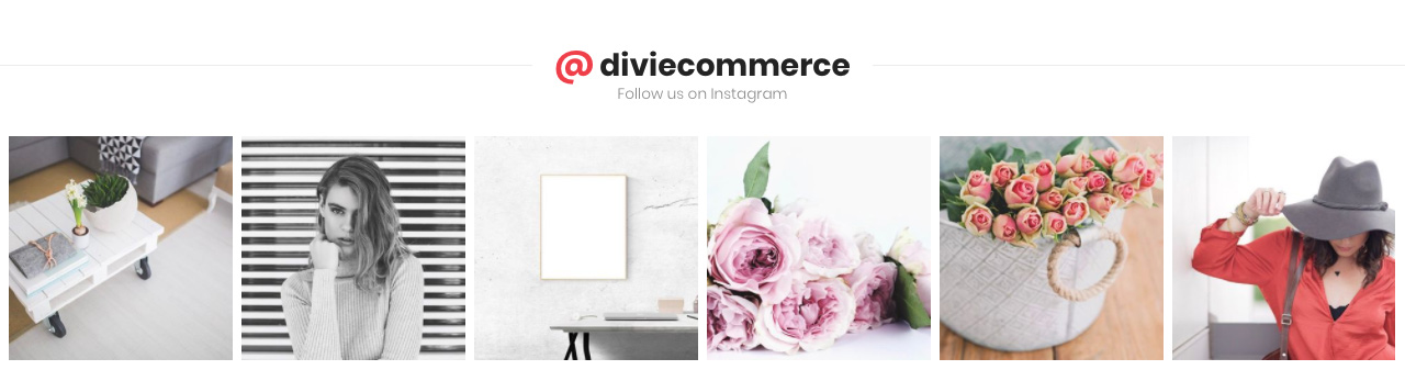 Divi-Space-Divi-Ecommerce-Child-Theme-Instagram-Feed