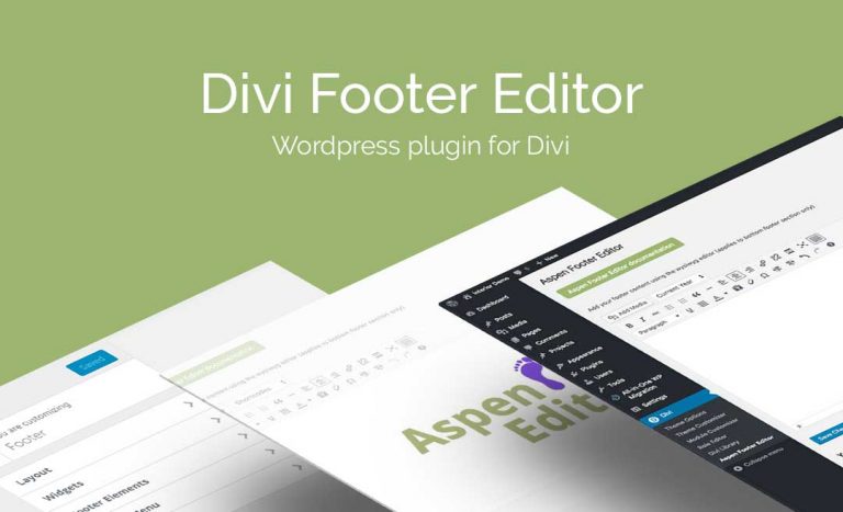 divi_space_plugin_divi_footer_editor