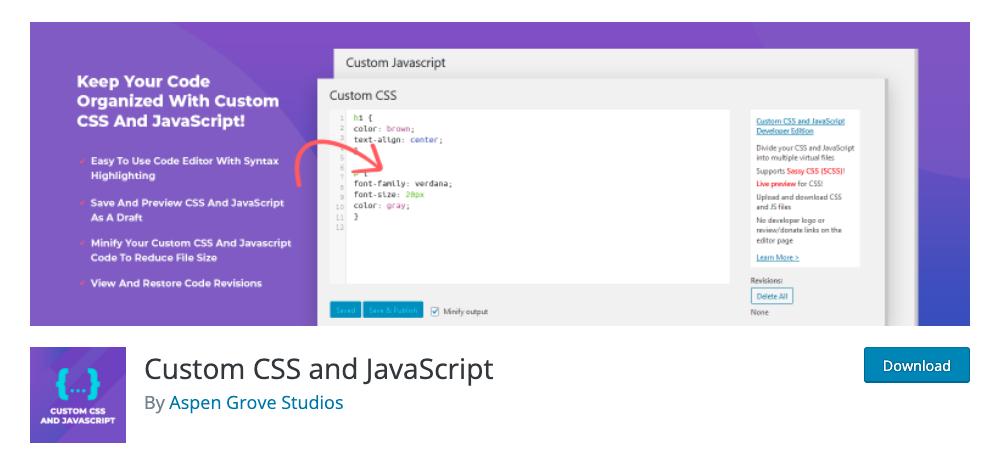 Custom CSS and JavaScript WordPress Plugin