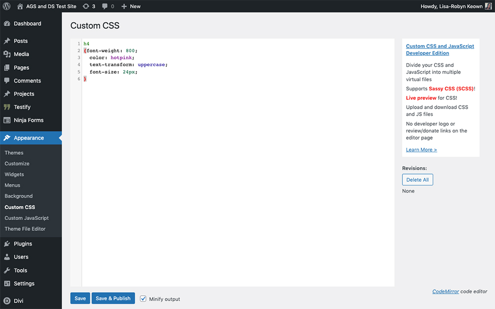 Custom CSS and JavaScript WordPress plugin