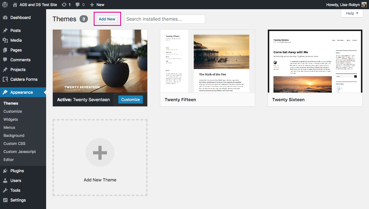Add New Theme WordPress