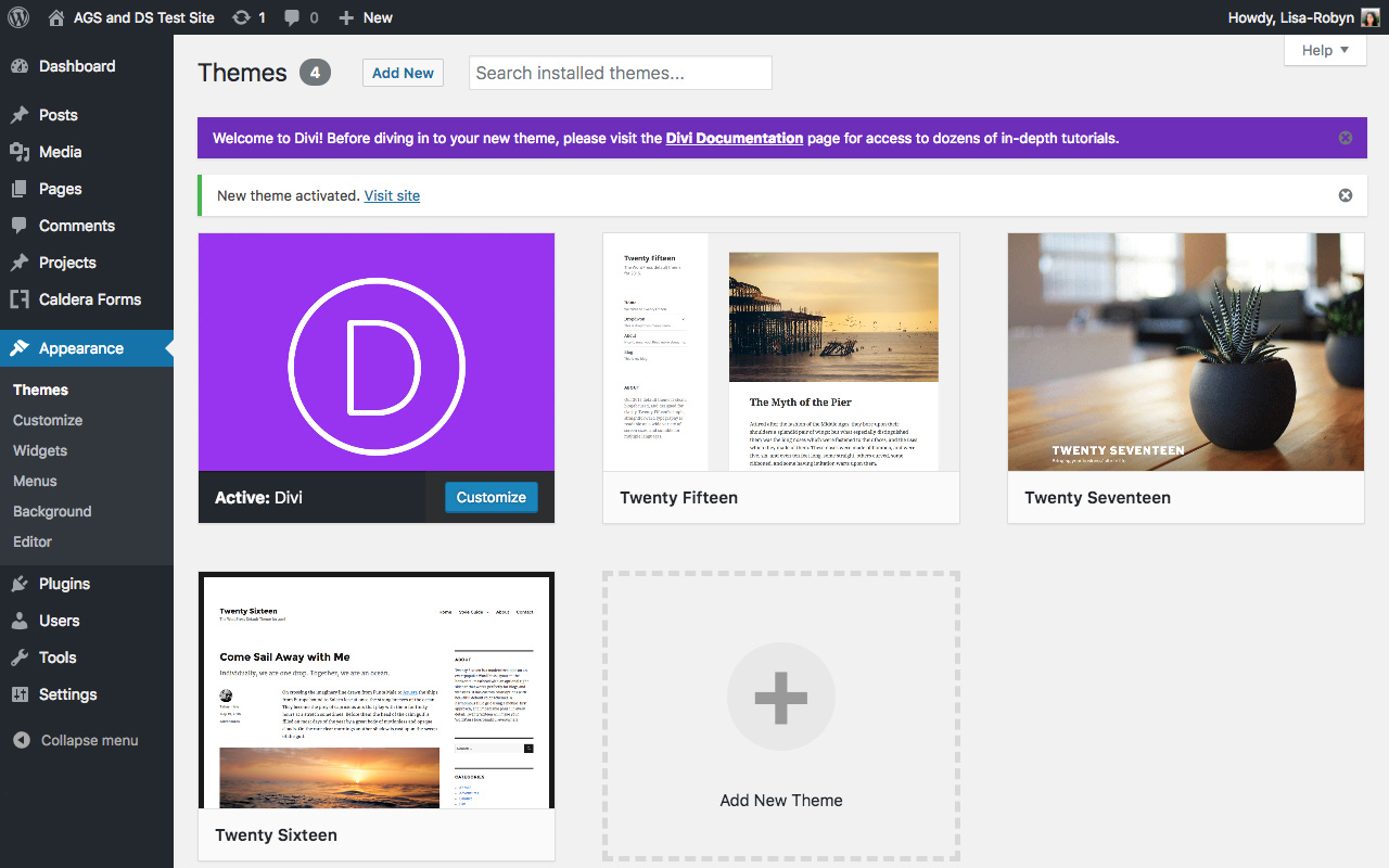 how-to-setup-and-install-divi-on-a-wordpress-website