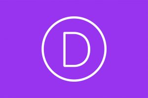 Divi Logo