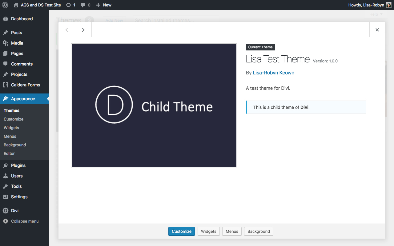 Divi Space Child Theme Generator 7