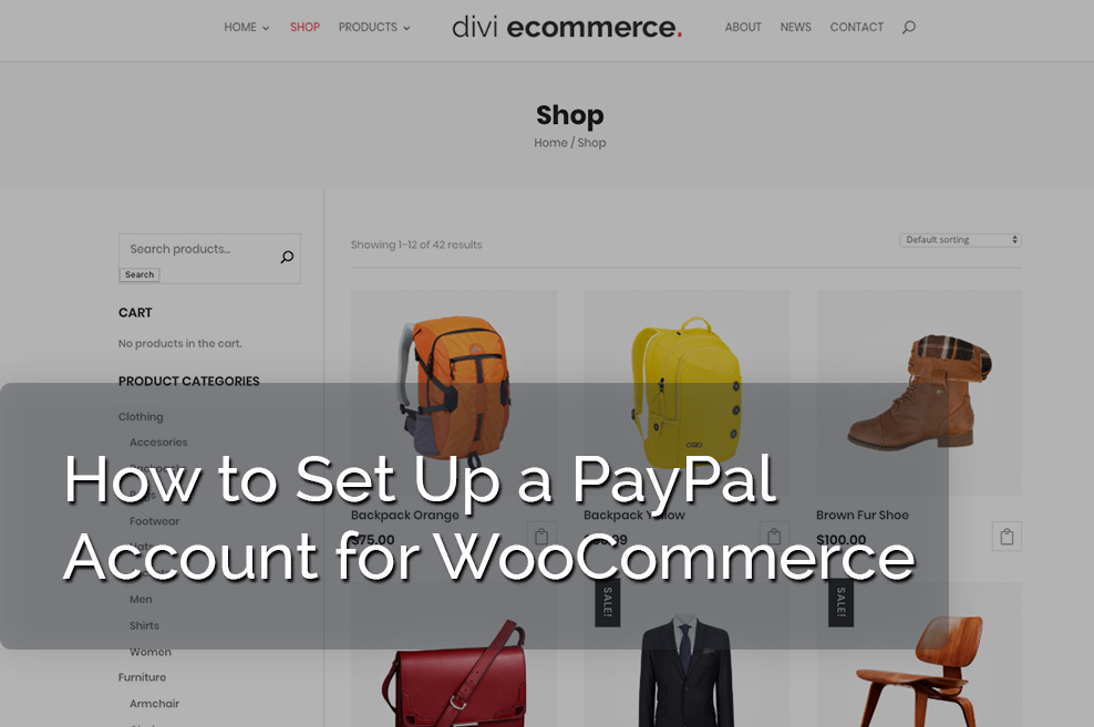 How to Set Up and Integrate PayPal for WooCommerce