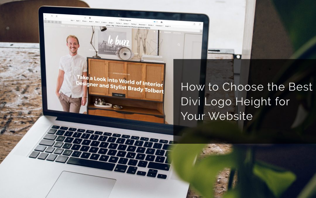 How to Choose the Best Divi Logo Height for Your Website