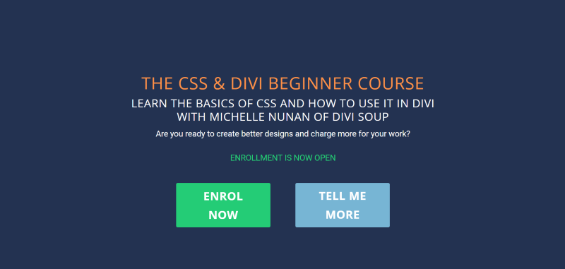 Divi Soup Divi CSS course