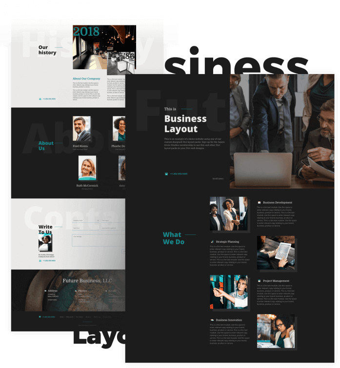 Best Free Divi Layout Packs Business Light and Dark from Divi Space