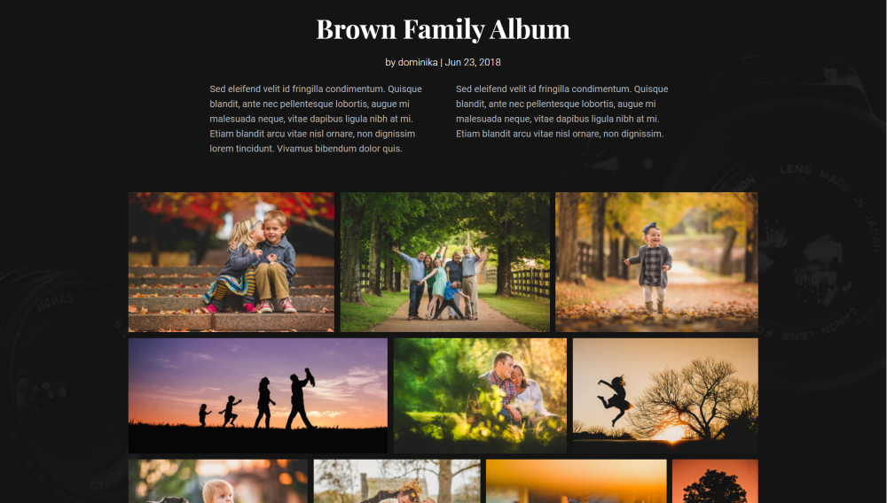 Divi Photography child theme gallery 
