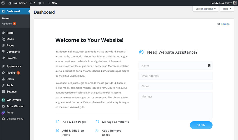 WordPress dashboard with custom Divi layout