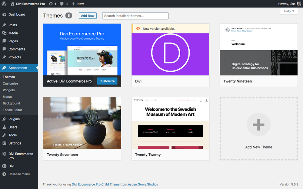 Divi Ecommerce Pro child theme installed and activated
