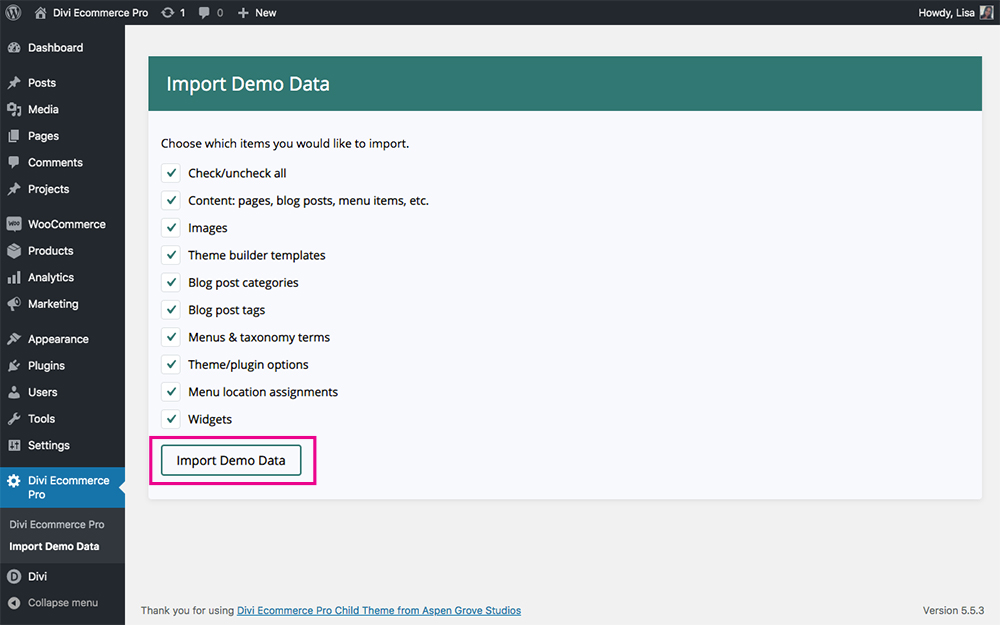 Divi Ecommerce Pro import demo data checkboxes