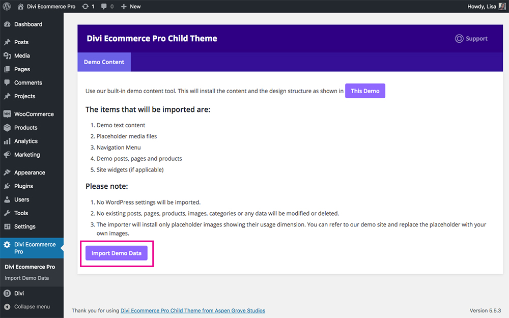 Divi Ecommerce Pro import demo data