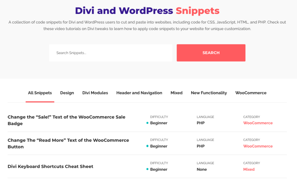 Divi Beginner Course