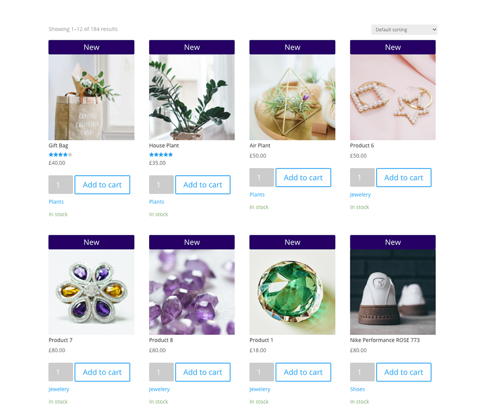 Divi Shop Builder Woo Shop + module default view