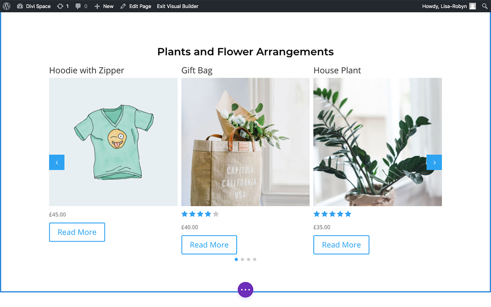 Product Carousel for Divi and WooCommerce default view