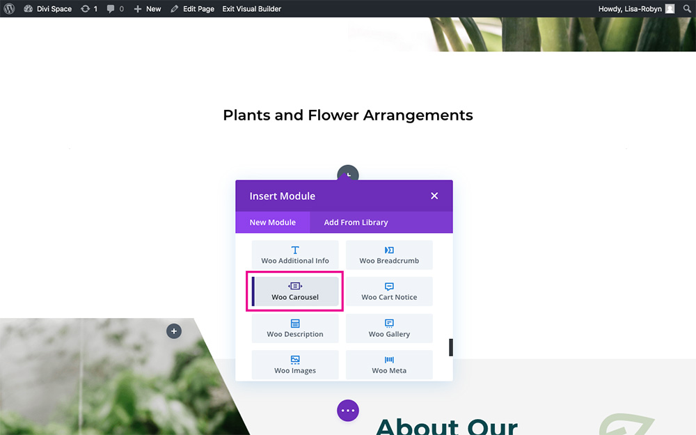 WooCommerce Divi Carousel plugin add module