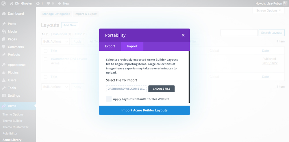 Custom WordPress dashboard Divi Library 1