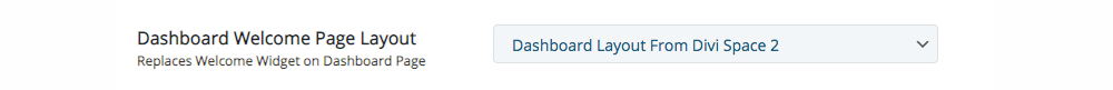 Custom WordPress dashboard WP Layouts 2