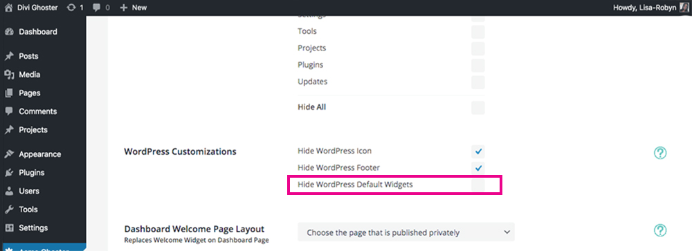 Divi Ghoster set up Hide WordPress Dashboard