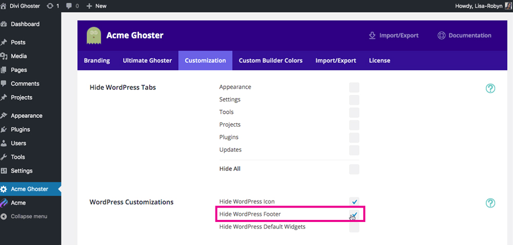 Divi Ghoster set up Hide WordPress Footer