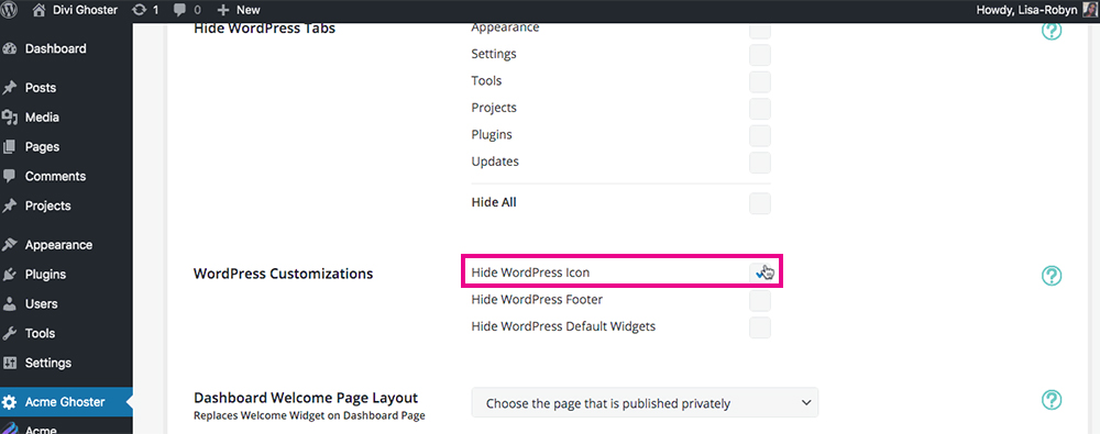 Divi Ghoster set up Hide WordPress Icon