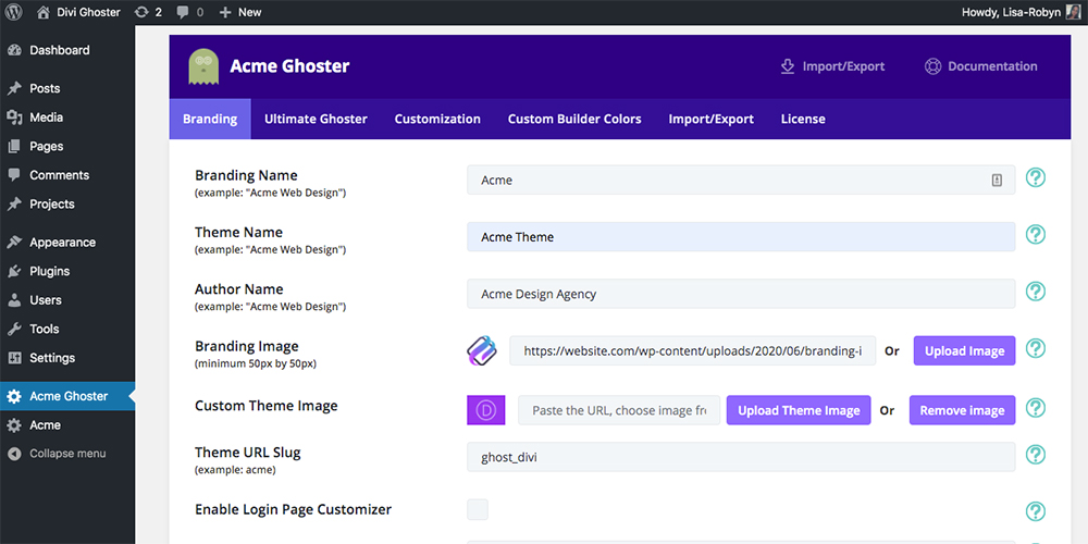 Divi Ghoster set up branding image