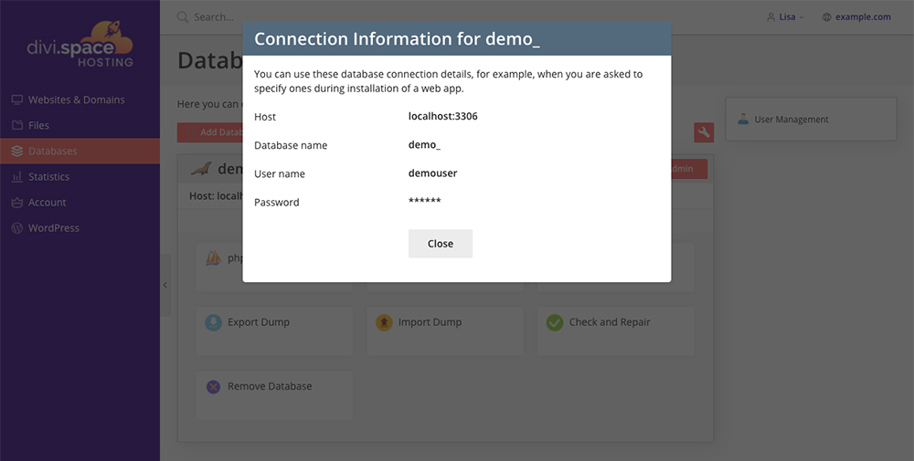 Divi Space Hosting Connection Info for database