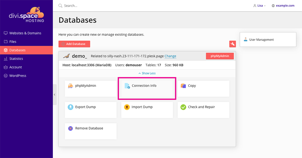 Divi Space Hosting database information