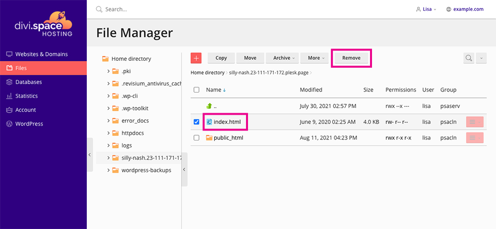 Migrate Divi Space Hosting file manager