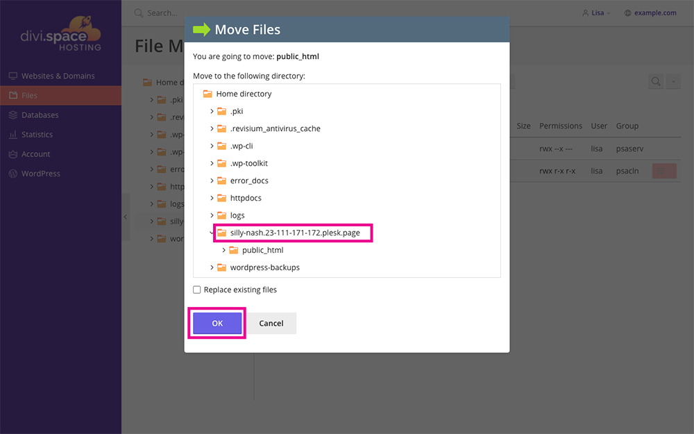 Divi Space Hosting file manager