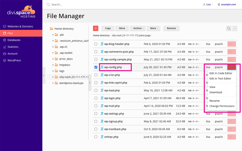 Divi Space Hosting file manager wp-config.php file