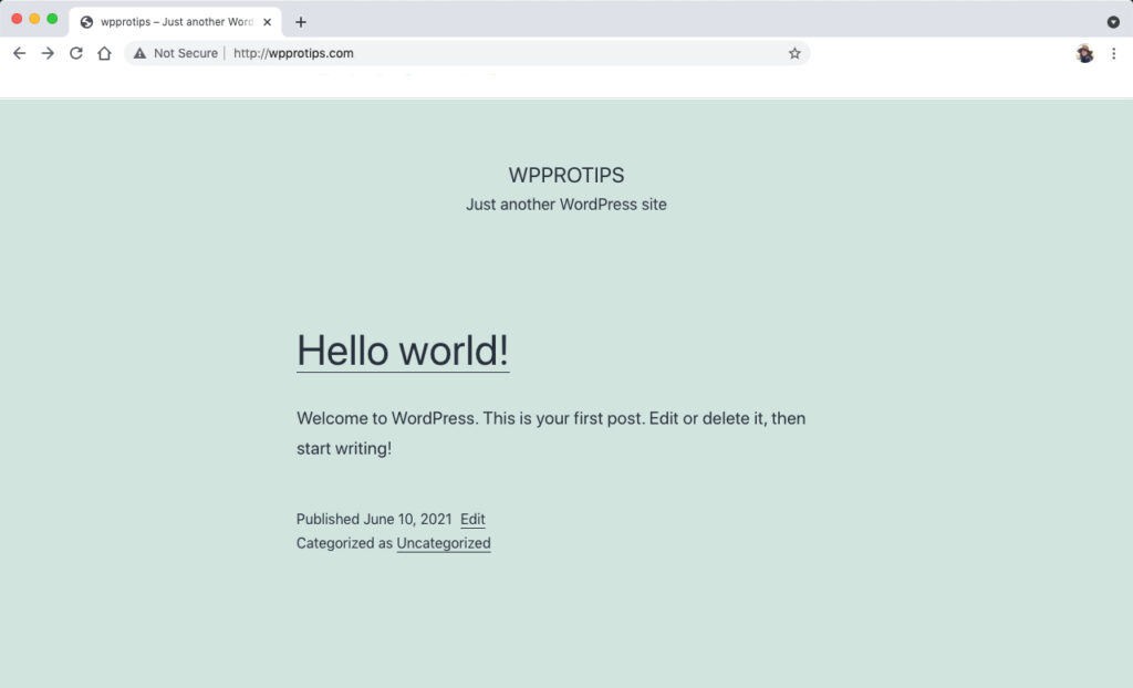 WordPress TwentyTwentyOne Theme