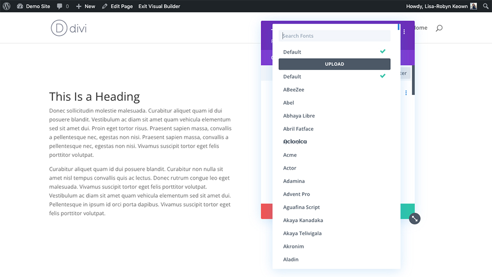 Add Custom Divi Fonts Using Divi Builder