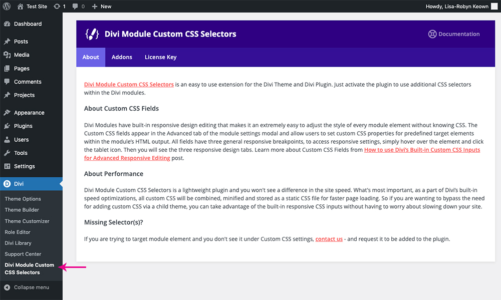 Divi theme CSS plugin Divi Module Custom CSS Selectors info
