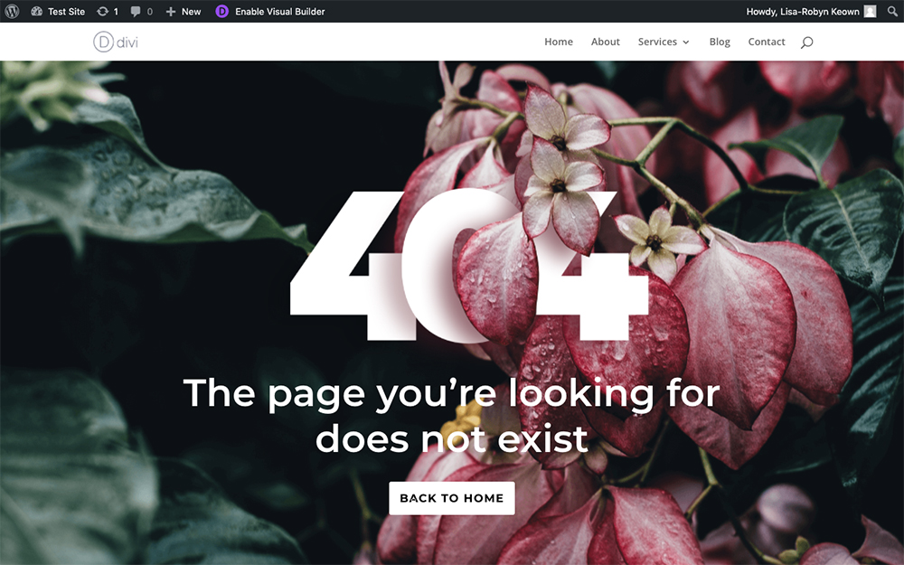 Creating a custom Divi 404 page wit free JSON layouts