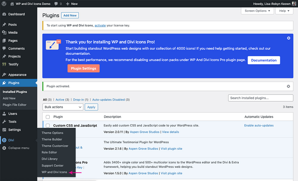 WordPress plugin WP and Divi Icons PRO installed