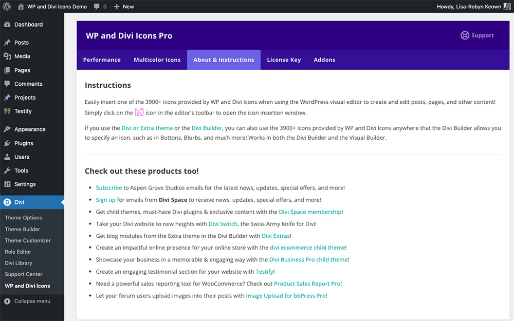 WP and Divi Icons Pro plugin about and instructions tab