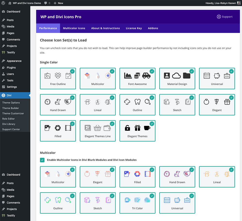 WP and Divi Icons Pro plugin performance tab