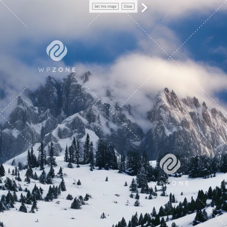 Screenshot of the singe image preview in AI Image Lab