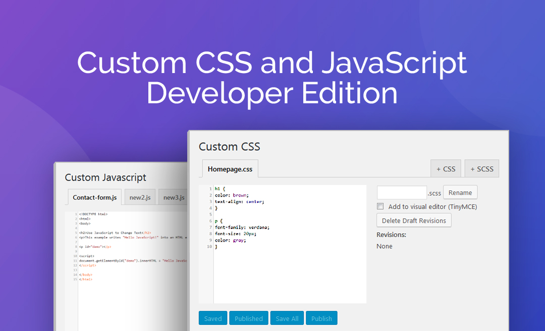 Custom CSS and JavaScript Developer Edition